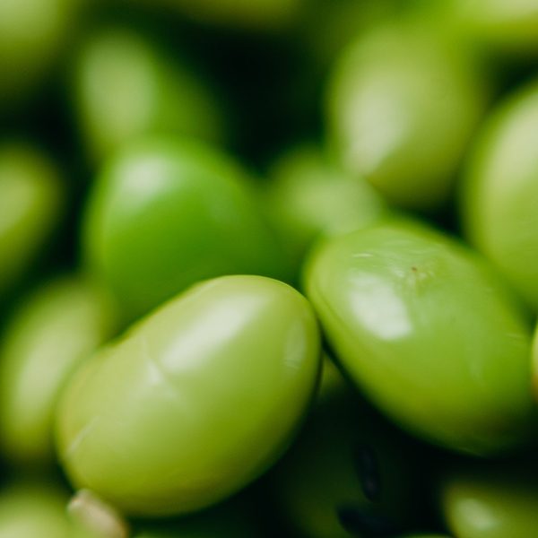 green-beans-3297805